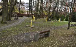 Widok parku znajdującego się pomiędzy drzewami, w tle ławki oraz siłownia zewnętrzna